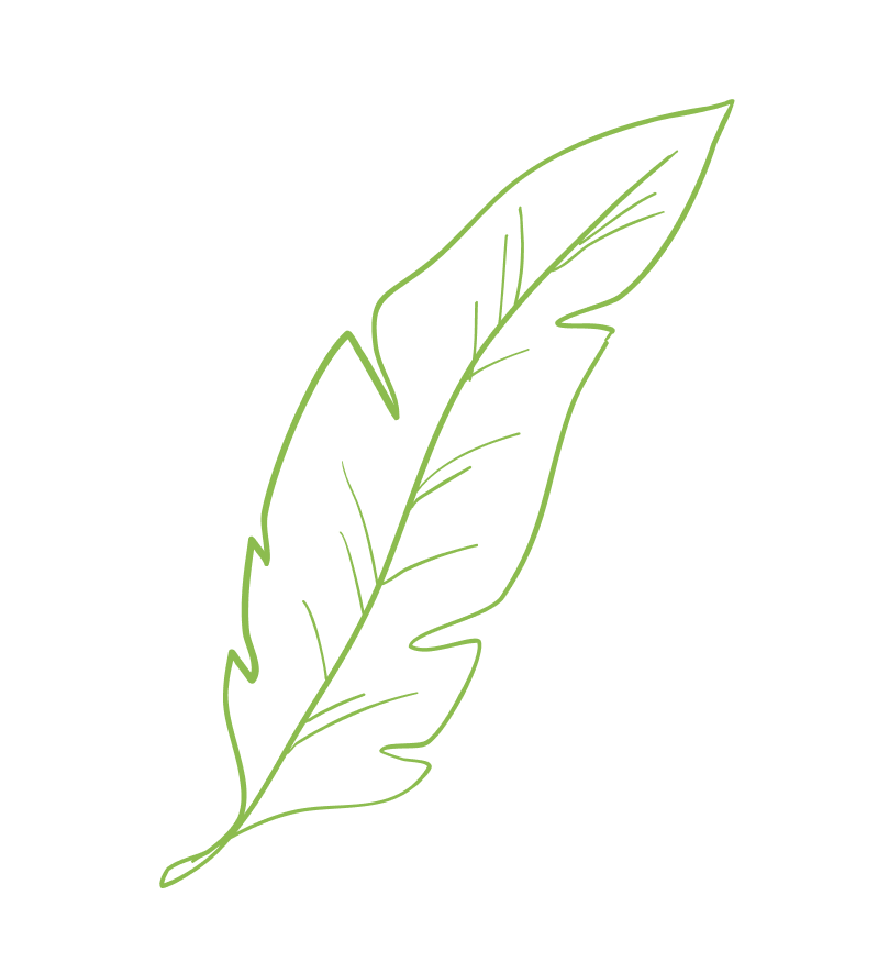 Leaf