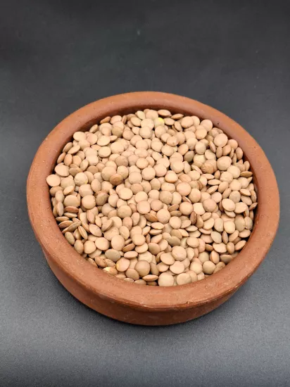 Yeşil Mercimek