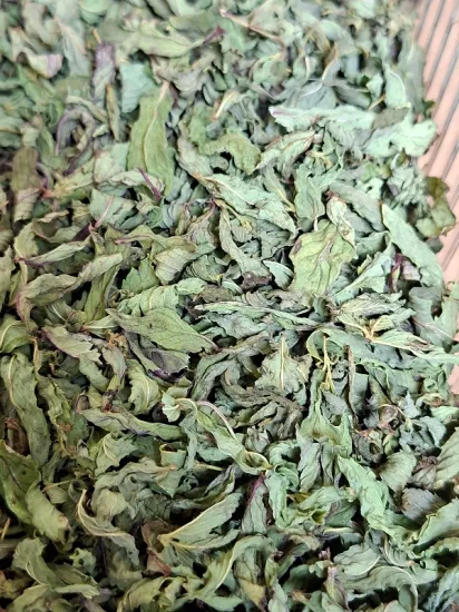 Kuru Nane