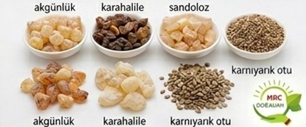 Doğal Sakızlar & Takviyeler