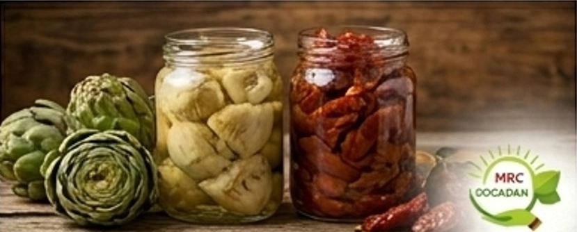 Konserve & Kuruluklar